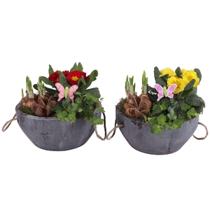 Early Spring Arr. Outdoor Ceramic Pot with Rope Handle Ø24cm 3PP