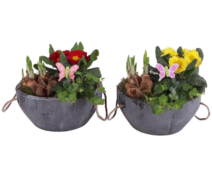 <h4>Early Spring Arr. Outdoor Ceramic Pot with Rope Handle Ø24cm 3PP</h4>