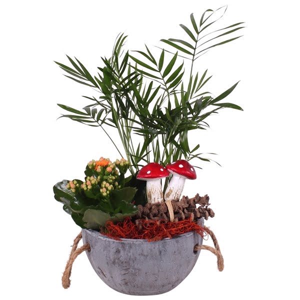 <h4>Autumn Arr. Indoor Concrete Bowl Ø16cm 2PP</h4>