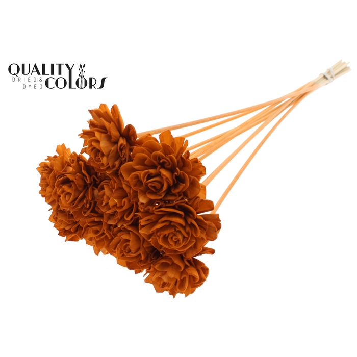 <h4>Shola Dahlia 6cm on stem Terracotta</h4>