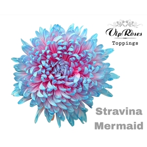 Chr G Stravina Mermaid