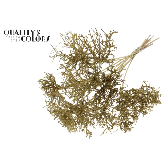 <h4>Dry Tree on stem Gold</h4>