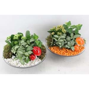 Arr2 Pl - Glas Schaal 23cm - Oranje/wit