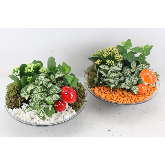 <h4>Arr2 Pl - Glas Schaal 23cm - Oranje/wit</h4>