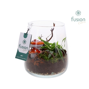 Glas Alzada met Herfst arrangement