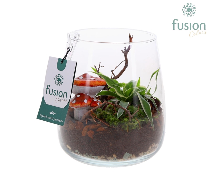 <h4>Glas Alzada met Herfst arrangement</h4>