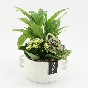 ESCR-2638W Essentials