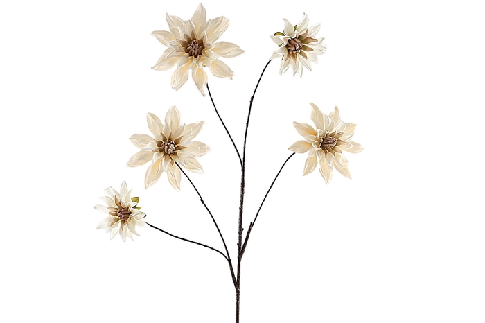 <h4>Dahlia Spray Beige</h4>