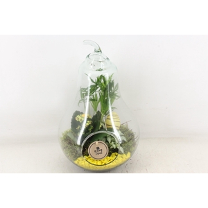 arr2 PL - Glazen peer XL - geel