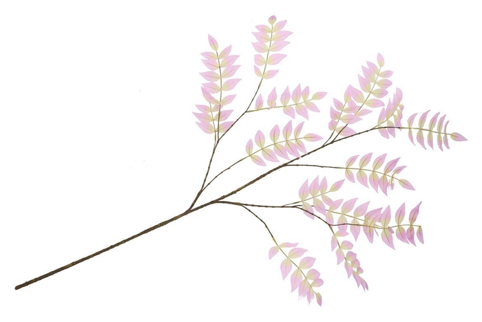 <h4>Silk Salix Leaf Purple 135cm Nm</h4>