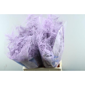 Asp Extra Veer Milka