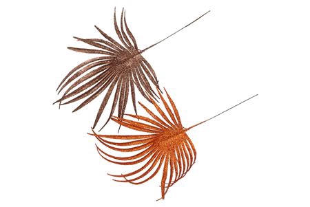 <h4>Pick Shine Palm Copper/bronze 36cm Ass Per 12 Nm</h4>