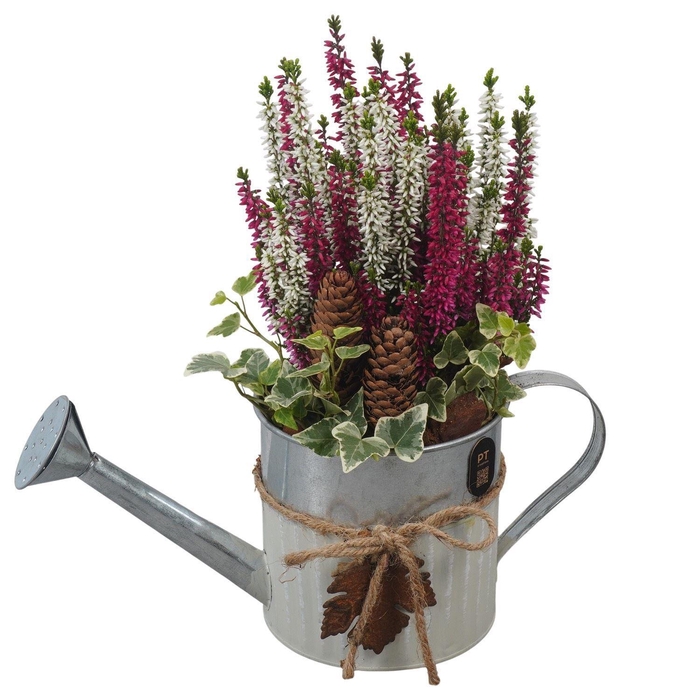 Arr.   Tuinplanten L%