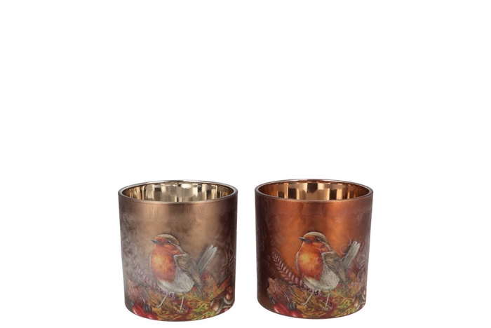 <h4>Ruby Scottish Brown T-light Bird Ass 7x8cm</h4>