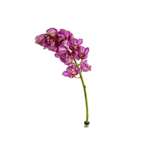CYMBIDIUM HT MIN 5 FLS ROSA ESCURO