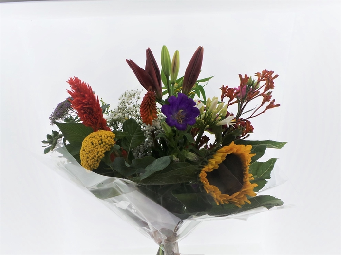 Bouquet Field Roxy