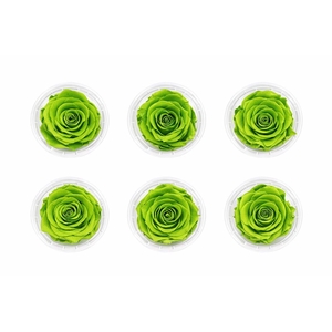 Ro Pres Classic Green Lime