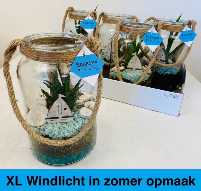 <h4>ARR KAMERPL</h4>