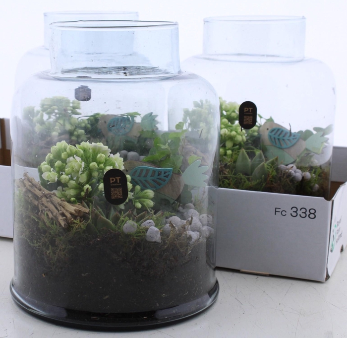 <h4>ARR KAMERPL</h4>