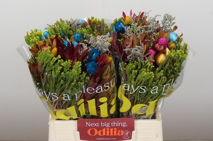 <h4>BQ Kaaps Groen Mandarin</h4>