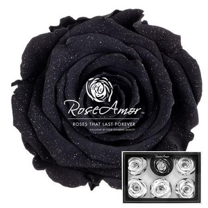 Xl Diamond Dust Bla01