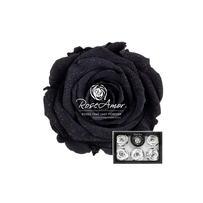 <h4>Xl Diamond Dust Bla01</h4>