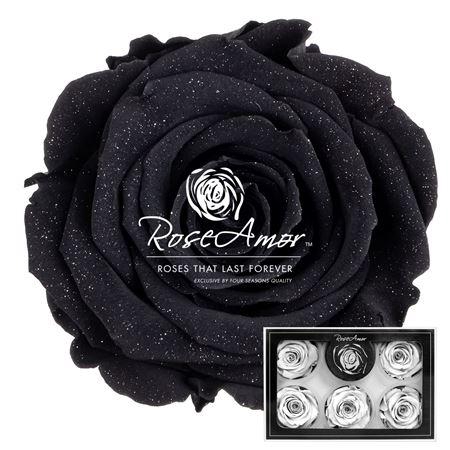 Xl Diamond Dust Bla01