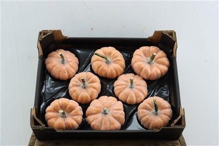 <h4>HALLOWEEN TOEVOEG H%</h4>