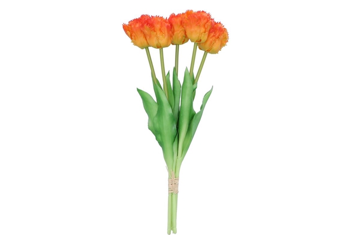 <h4>Silk Tulip Bouquet Papagayo 5x Orange 39cm Nm</h4>