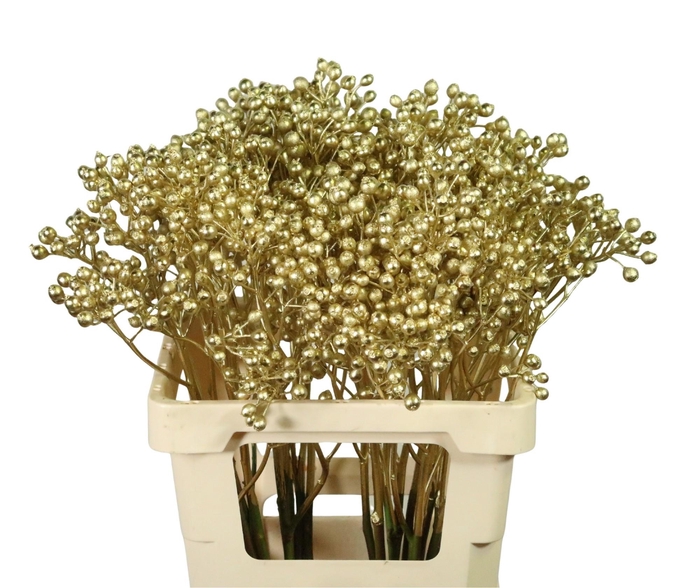 <h4>DECOGROEN OV KLB H%</h4>