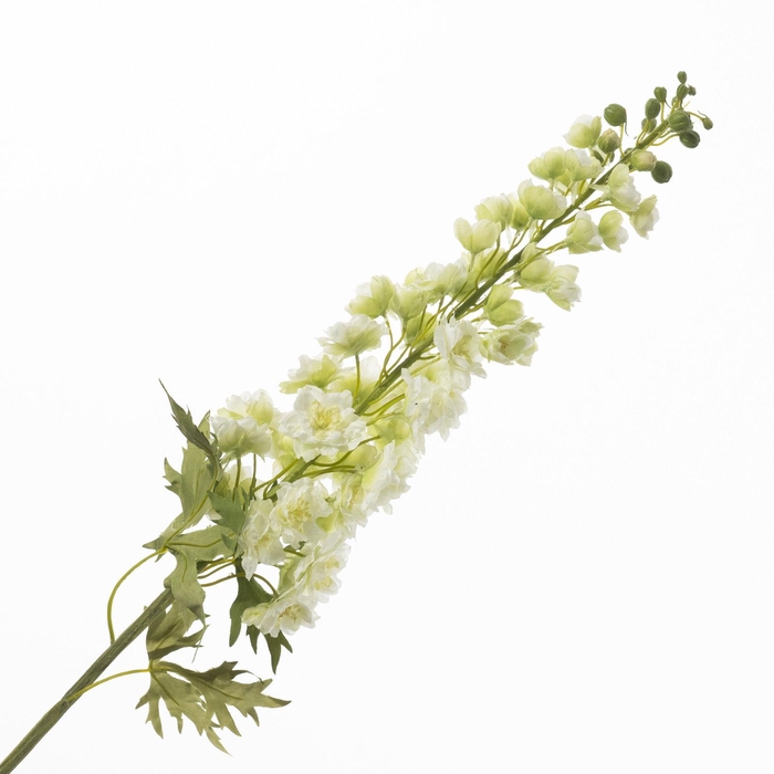<h4>Delphinium White FL440371WHI</h4>