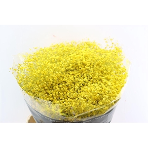 Gyps Grof Geel (dip)