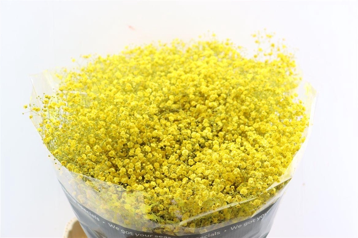 <h4>Gyps Grof Geel (dip)</h4>