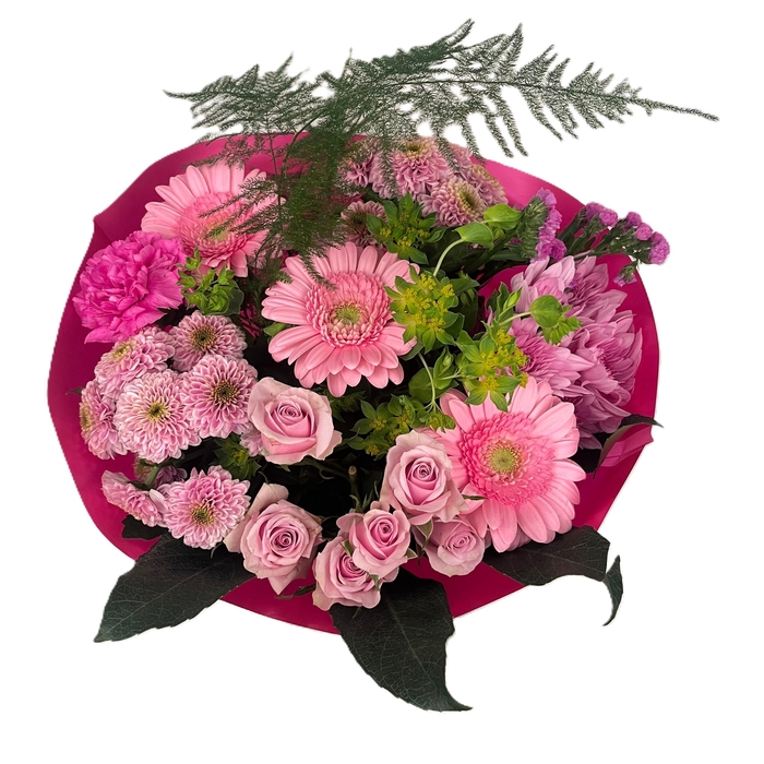 <h4>Bq Barbapapa pink M</h4>