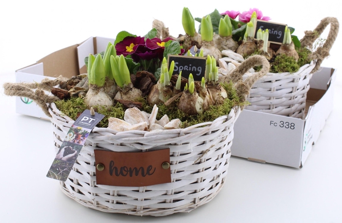 <h4>ARR PL IN SCHAAL</h4>