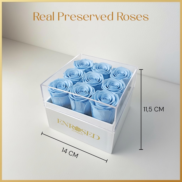 <h4>HUIS EN TUINDECO H%</h4>