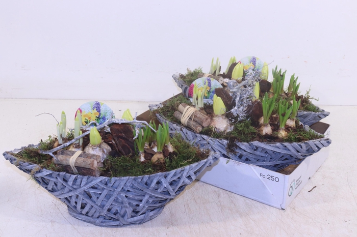 <h4>ARR BOL KNOLGEWAS</h4>