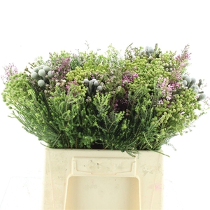 Kaaps Bouquet Cape Mini Mix