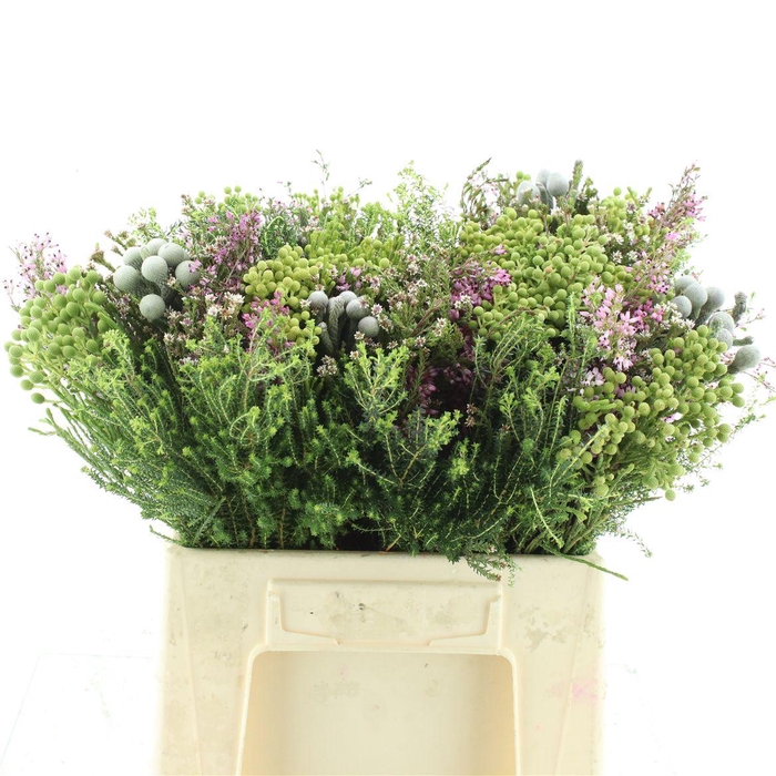 <h4>Kaaps Bouquet Cape Mini Mix</h4>