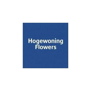 Scab At Red Velvet Scoop