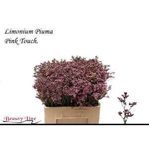 LIM PIUMA PINK TOUCH