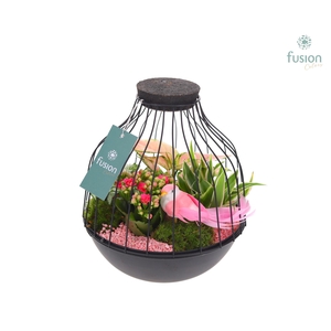 Vogelkooi metaal zwart Large LED met arrangement