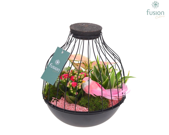 <h4>Vogelkooi metaal zwart Large LED met arrangement</h4>