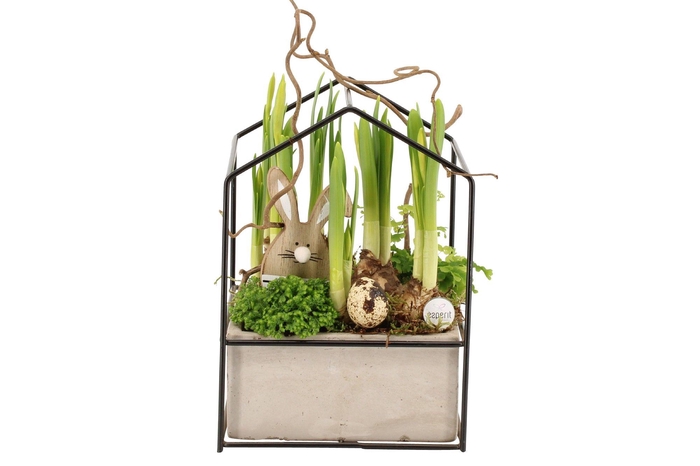 <h4>70637: Easter arrangement</h4>