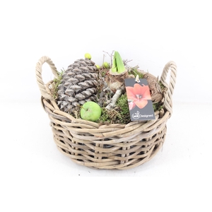 arr4 Amaryllis MB - Kubumand rond