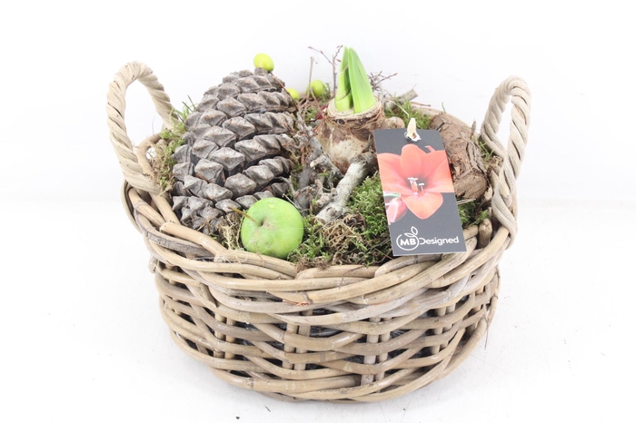 <h4>arr4 Amaryllis MB - Kubumand rond</h4>