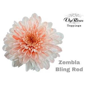 Chr G Vip Zembla Bling Red