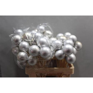 Kerstbal Zilver Op Stok