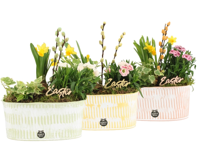 <h4>70898: Easter outdoor arrangement</h4>