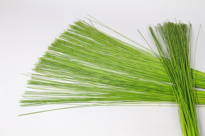 <h4>Flexigrass x 10</h4>